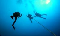 Divers Ascending