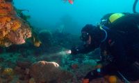 Geoff at Spot R