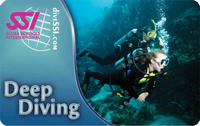 Deep Diver Course