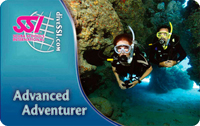 Advanced Adventurer